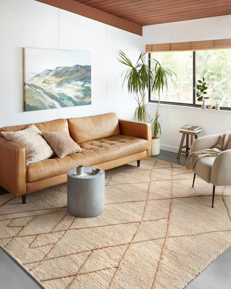  Non-Toxic Rugs